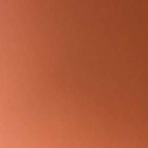 Meet your Posher, Alexi